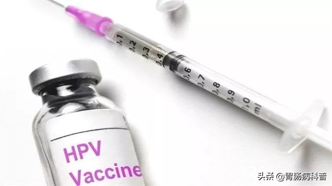 艾滋病，HPV——今天一文了解