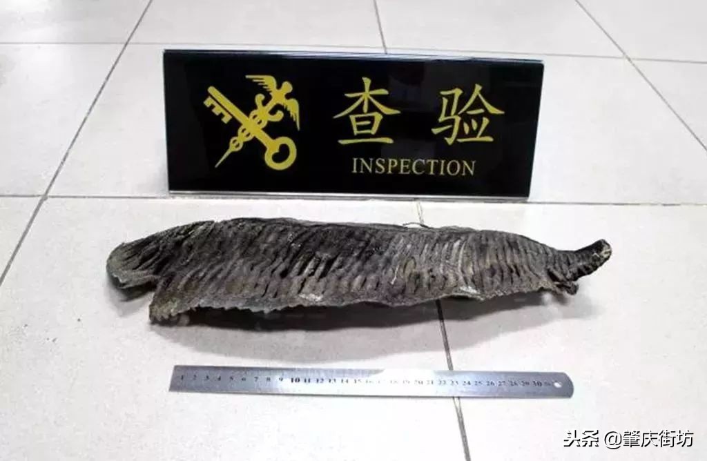 现在去港澳需要备什么生活用品,准备去港澳旅游的注意事项