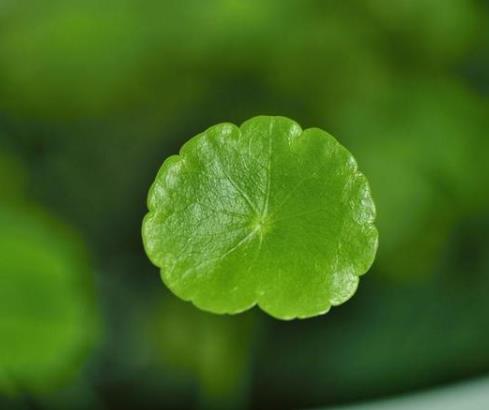 穷不走亲富不还乡自己要看清楚,穷不走亲富不还乡老话说的有道理