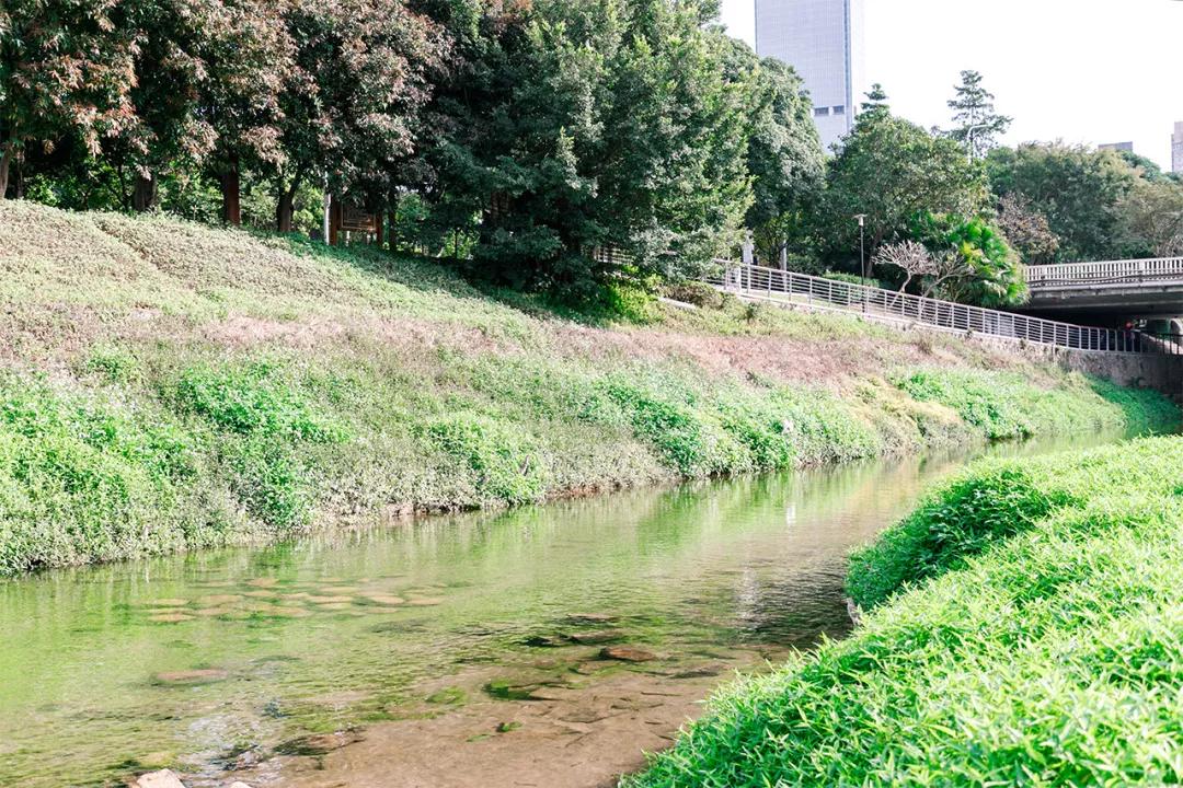 重庆轨道3号线,贵阳地铁3号线