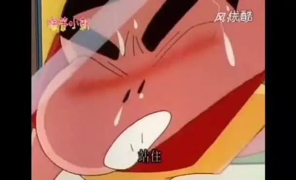 蜡笔小新之真假小新,蜡笔小新第二季美芽胖了