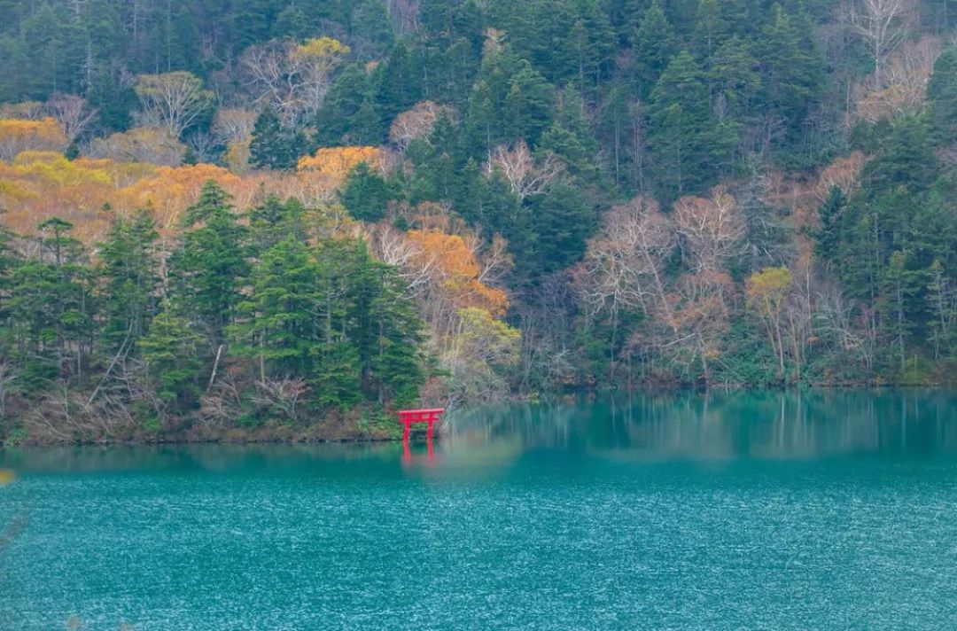 日本长野县旅行,日本长野赏樱旅游攻略