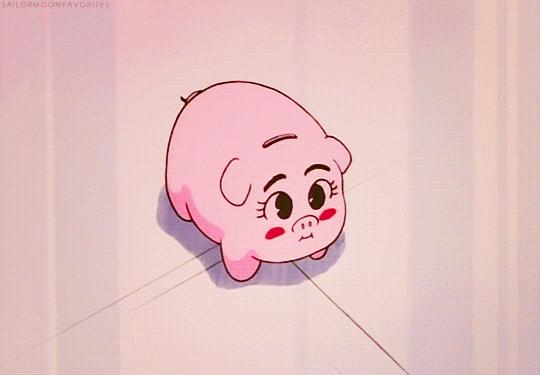 王思聪为什么愿意给女孩花钱,王思聪蝴蝶结多少钱