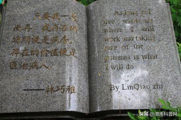 鼓浪屿拿什么申遗成功,鼓浪屿申遗成功