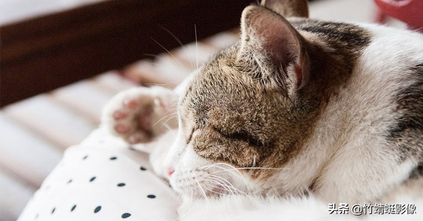 光圈大小的区别对比图,光圈大小对成像的影响