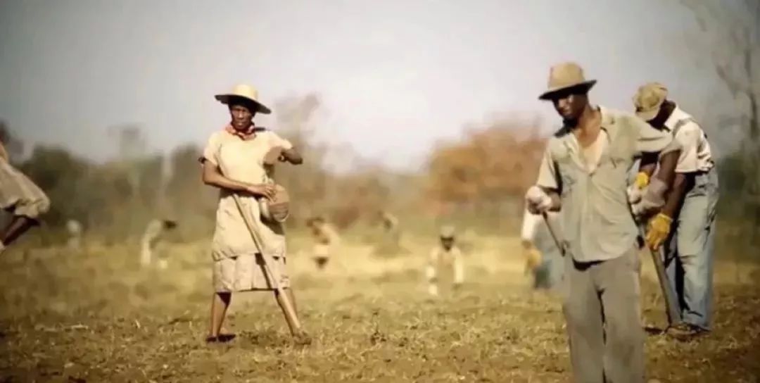 马云评价很好的一部电影,马云谈哪个荣誉最好