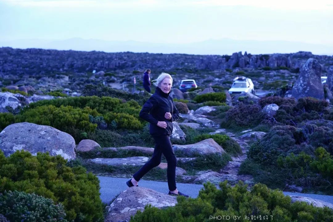 去哪里旅游可以看南极企鹅,旅游攻略南极看企鹅