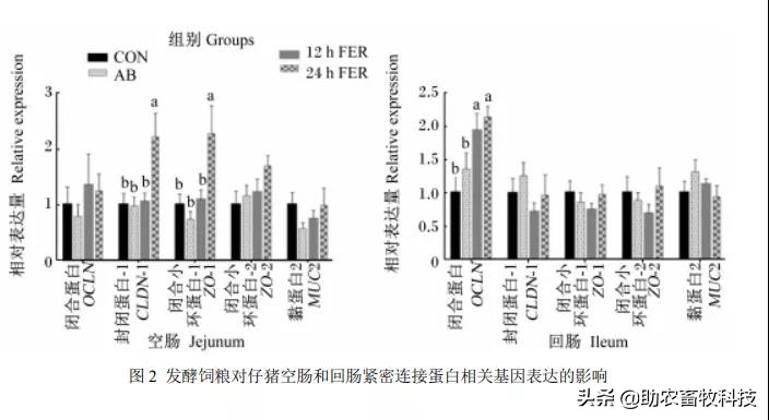 发酵饲料能提高多少吸收率,发酵饲料对猪有没有好处