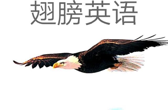 长难句精讲背诵,长难句综合技巧