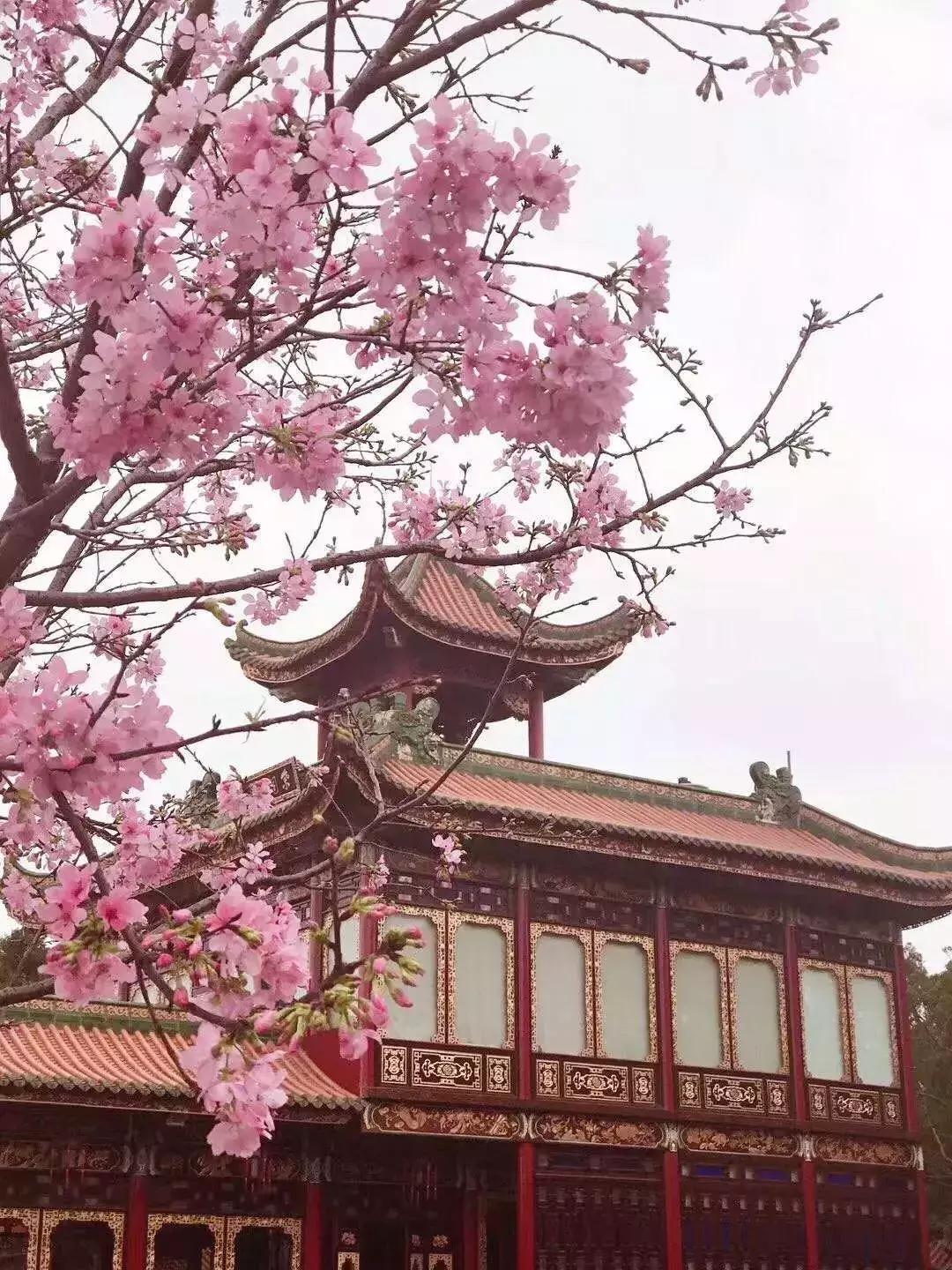 番禺好看的街景,番禺美丽的风光