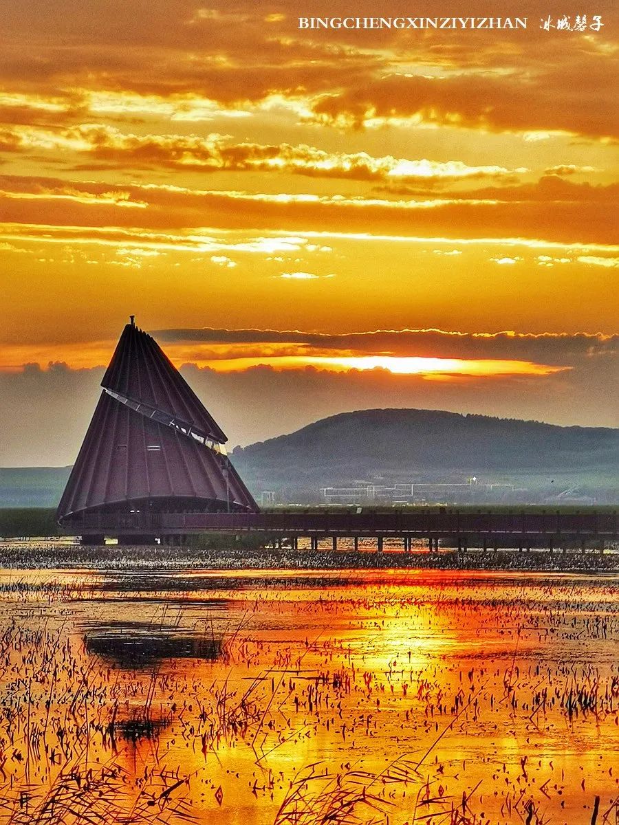 再返富锦，为着那份飘着稻花香的“湿”意约定