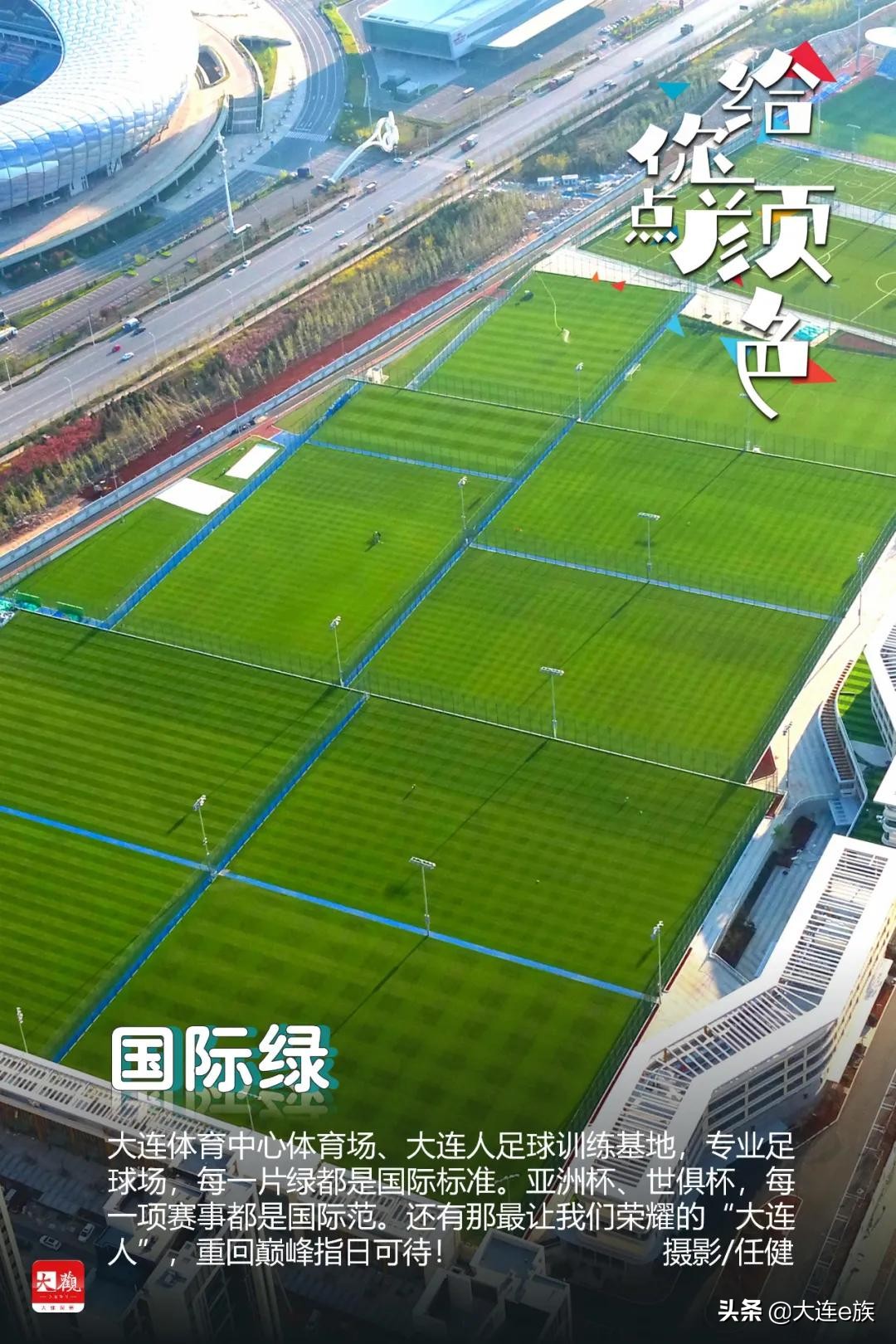 大连色卡,大连给貂皮改色