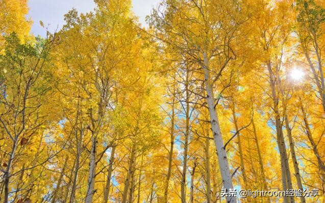 摄影的自然光线选择,摄影风景光线的基础知识