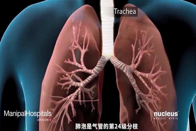 如何通过呼吸锻炼心肺,运动正确的呼吸模式