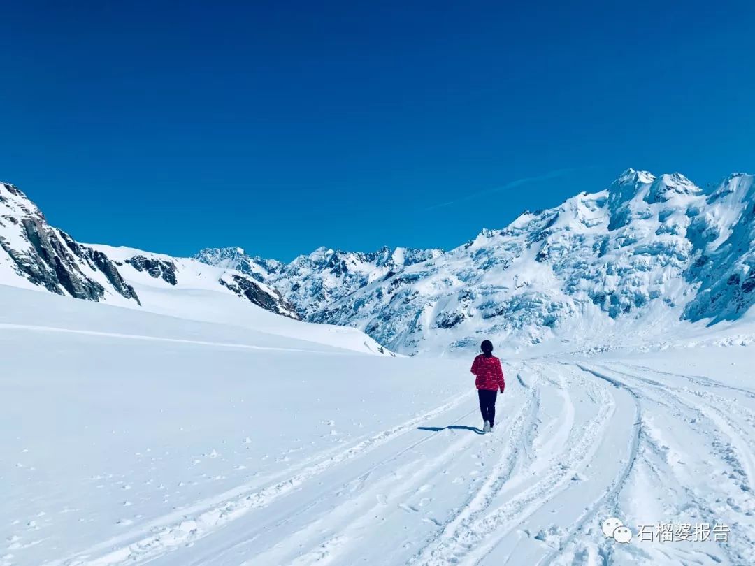 旅行7天,七天游记的视频在线观看全集高清