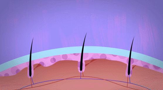 白发真的能从发根长出黑发吗,白发怎么治疗才能变黑小偏方