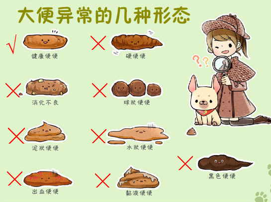 便秘与腹泻交替大便恶臭怎样治,大便粘腻排出不畅用什么中成药