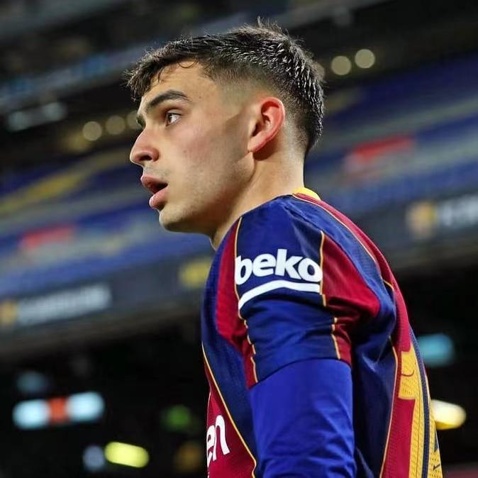 新西班牙国家队,西班牙新哈维