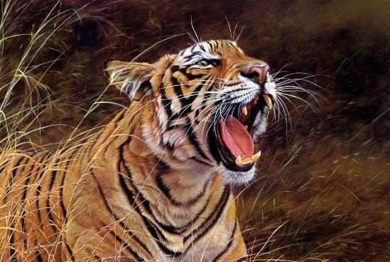 武松徒手能打老虎吗,武松徒手面对四头老虎