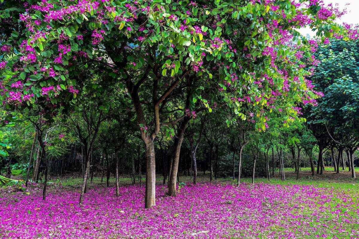笠翁对韵中的精美词句,笠翁对韵的国学心得