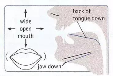 英语音标对应字母及发音规则,英语发音规则以及读法详解