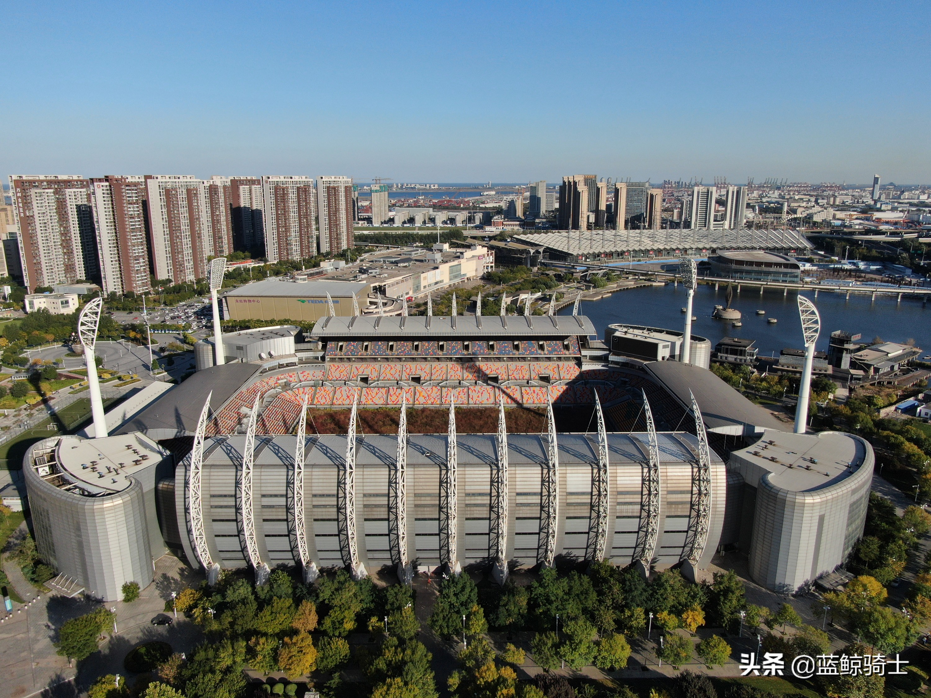 天津泰达专业球场,天津泰达第一座专业足球场