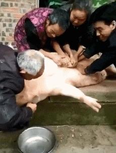 开心搞笑视频小哥哥,小哥哥搞笑视频gif