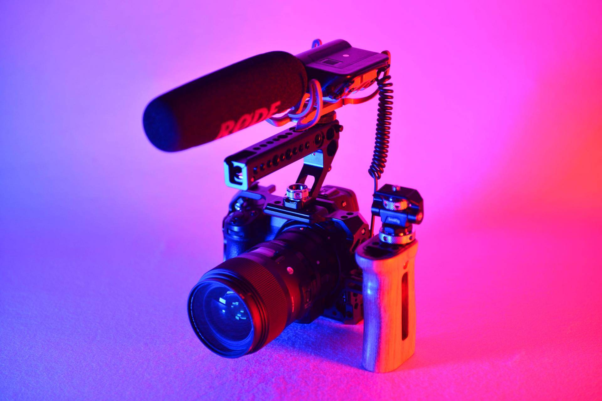 图文向视频创作迈进的一小步——斯莫格兔笼入手小记