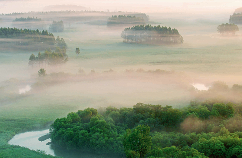 林草知识普及,林草科普讲解
