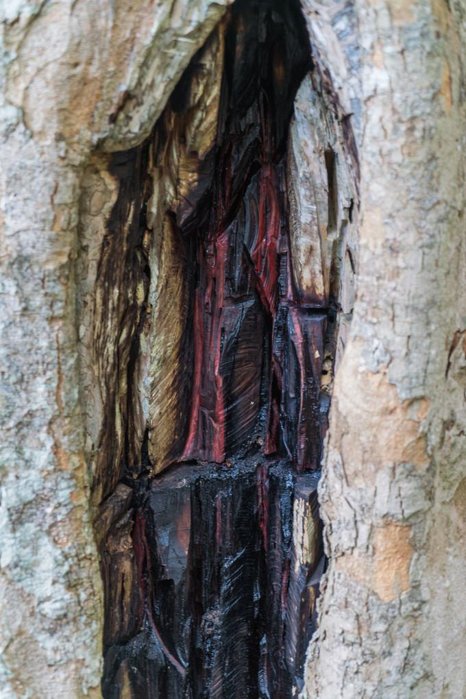 再次拥抱巴西，千万种风情想与你诉说,上）