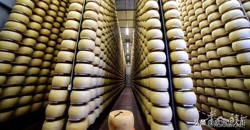 娴峰叧鎵撳嚮渚垫潈鍋囧啋宸ヤ綔鎬荤粨,娴峰叧鎵撳嚮渚垫潈杩濇硶娲诲姩