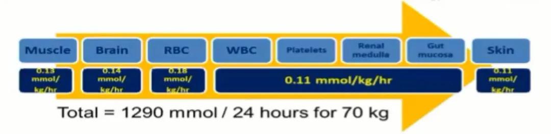 冀晓俊：乳酸酸中毒的诊治（上）