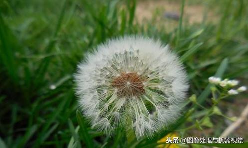 数字变焦与光学变焦,摄像头光学变焦加数字变焦