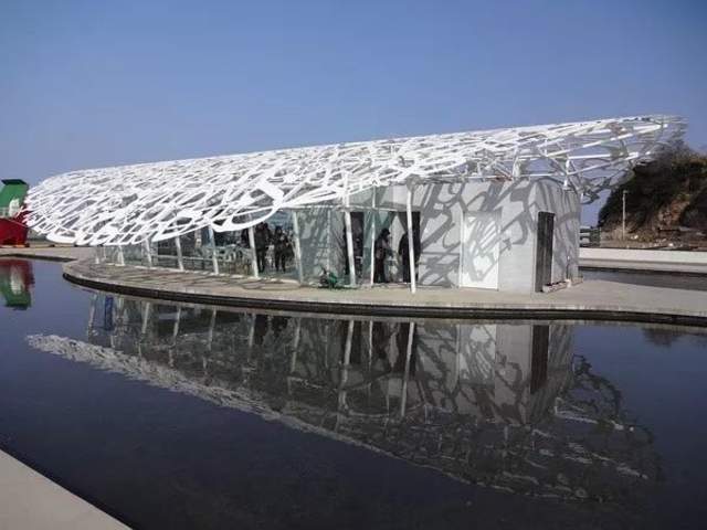 日本猫岛撸猫必备短片,日本东京免费撸猫的地方