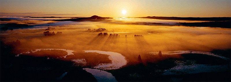 林草知识普及,林草科普讲解