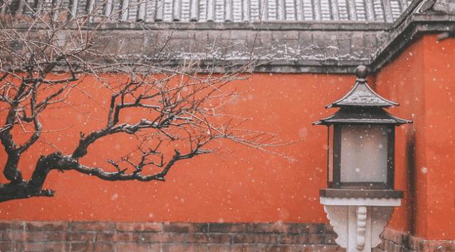 朋友圈赞爆的美照,雪景美爆朋友圈