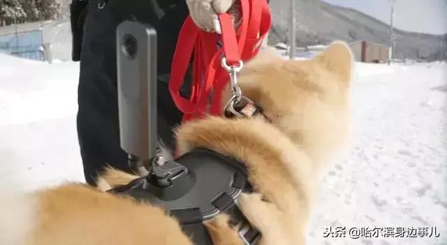 扣鼻屎、车震、随地大小便，你做的这些事全被拍下来了