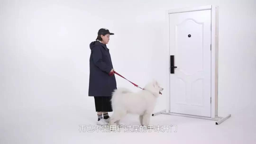 你家门上的哆啦A梦——LOOCKNEWONE全新上线！