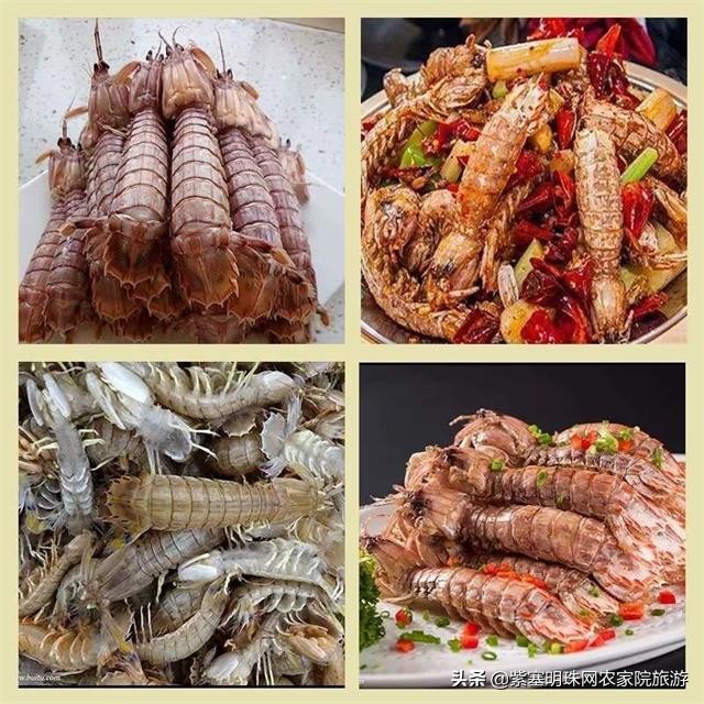 夏天去赶海抓螃蟹小龙虾,东戴河亿方客宾馆