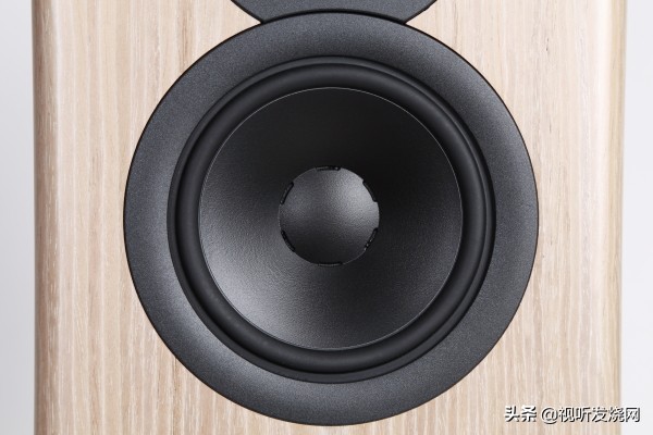 低频更强立马有感：试听DynaudioEvoke50
