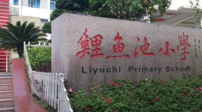 江北区哪些小学是重点小学,重庆江北区十大最好小学排名