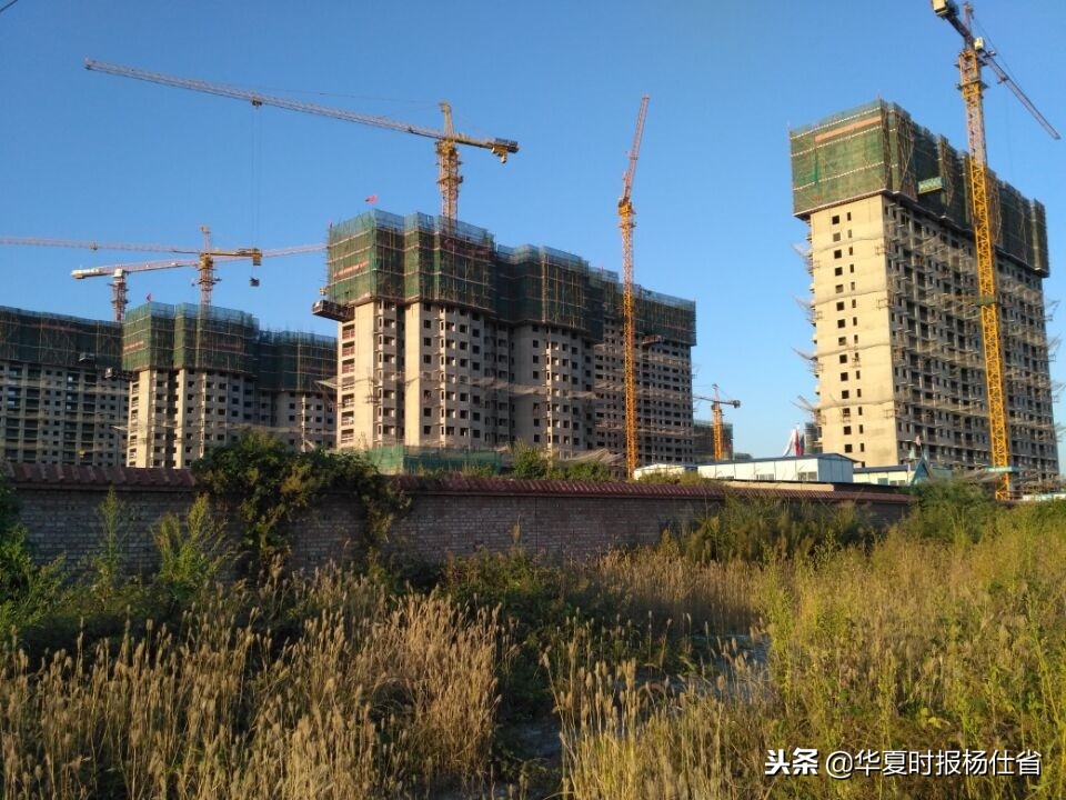 瑞平家园未来发展前景如何,瑞平家园房子值得买吗