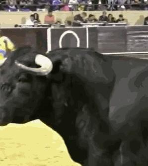 被牛角顶了是什么感觉,被牛角顶了是什么样