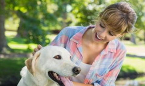 辟谣怀孕不能做的事,官方辟谣怀孕不能养狗