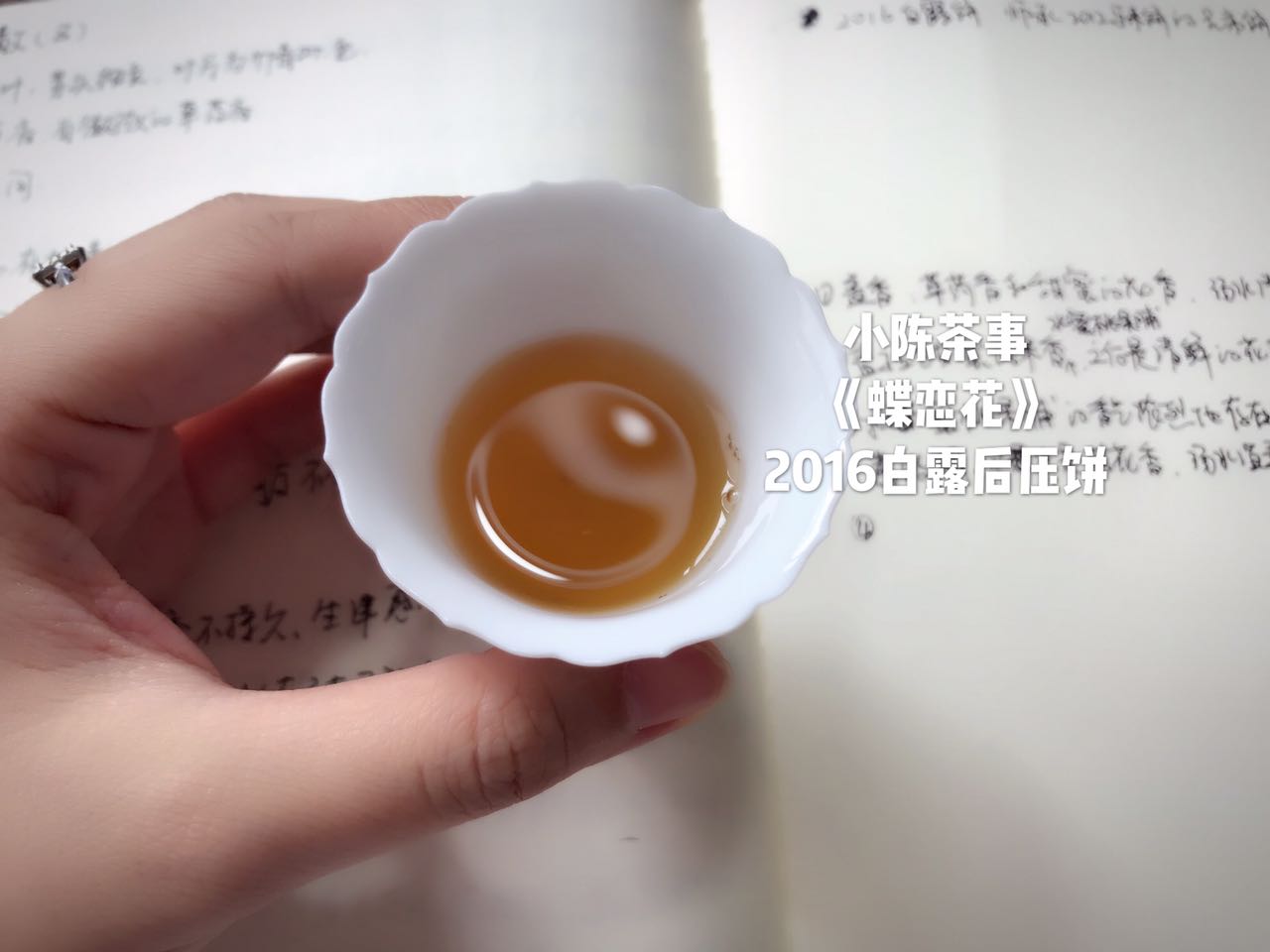 新手入门老白茶如何选,老白茶干货知识