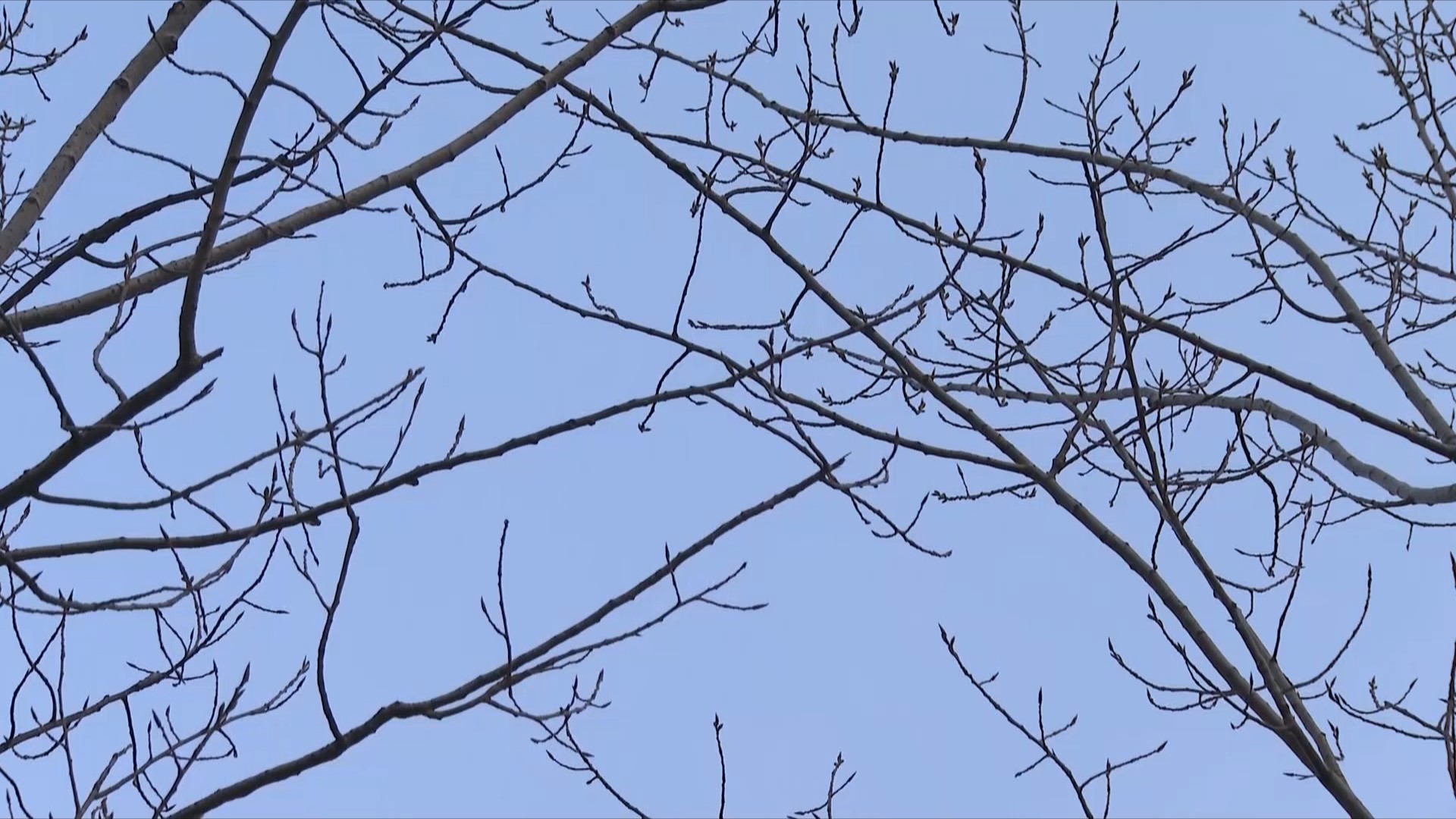 筑牢生态屏障,筑牢生态屏障守护美好家园