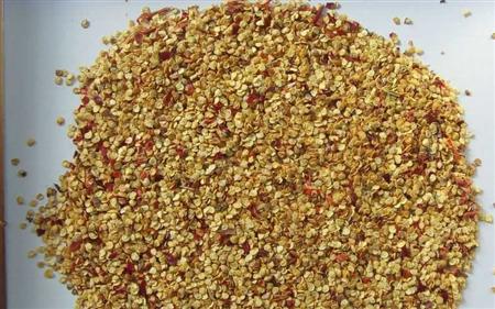 辣椒炭疽病你了解吗?高温天气易感染、传播快!防治措施在这里