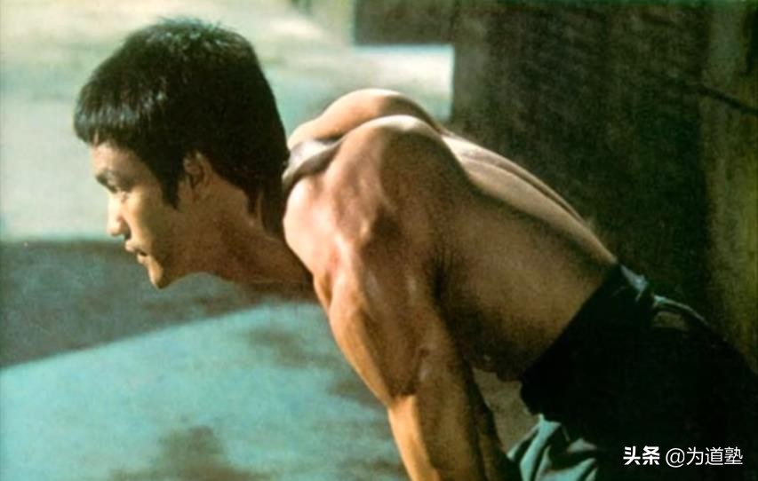 格斗界举足轻重的人物评价李小龙,史泰龙回忆李小龙的功夫有多厉害