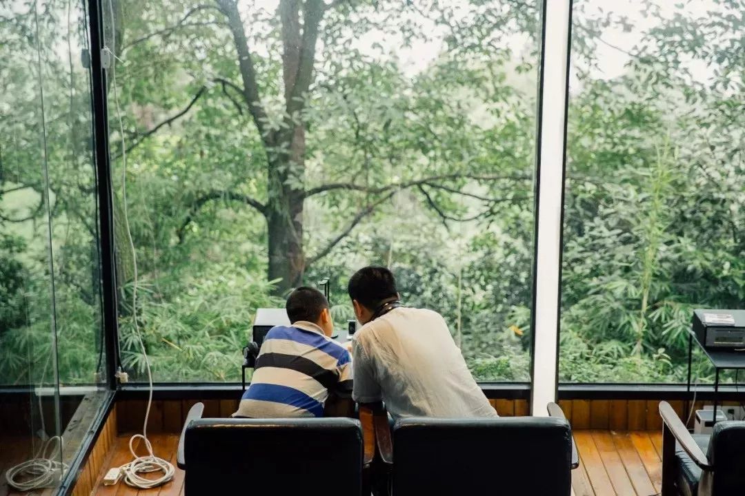 放弃一线城市年薪30万回老家,放弃30万年薪隐居深山