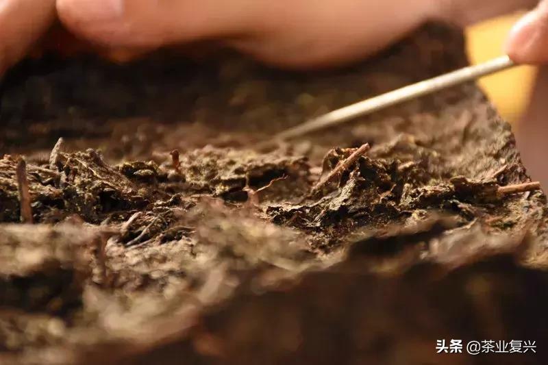 奶茶店一定不会告诉你的奶茶小料,奶茶店不会告诉你的奶茶小料